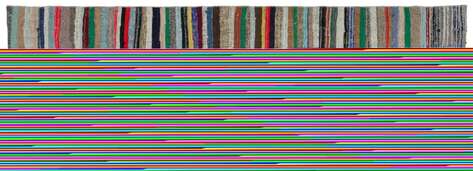 Apex Kilim Chaput 32888 113 cm X 325 cm - 2