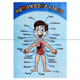 Halıstores Çocuk Halıları Anatomy (2)