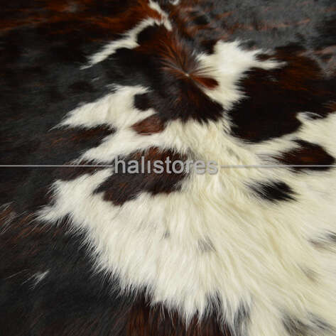 Dana Deri Halılar 0879 - 4