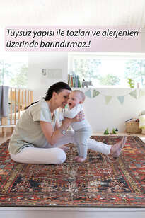 Etnik Desenli Dokuma Taban Dekoratif Halı Rustik Halı HS 132 (7)