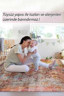 Fusion Modern Dokuma Taban Dekoratif Renkli Halı (AL 101) (7)