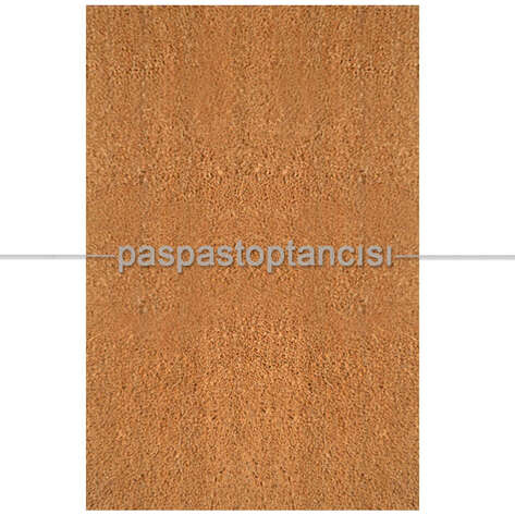 Koko Kıl Paspas Pvc Tabanlı - 1