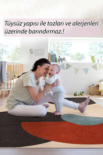 Modern Art Şönil Dokuma Pamuk Polyester Renkli Halı HS 402 (8)