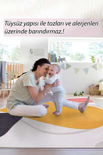 Modern Art Şönil Dokuma Pamuk Polyester Renkli Halı HS 405 (7)