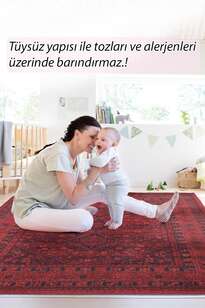 Etnik Desenli Dokuma Taban Dekoratif Kırmızı Halı HS 219 (7)