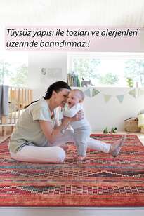 Etnik Desenli Dokuma Taban Dekoratif Renkli Halı HS 226 (7)