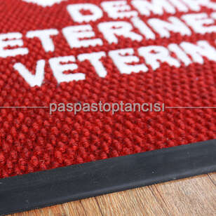 Veteriner Klinikleri için Logolu Paspas - 4