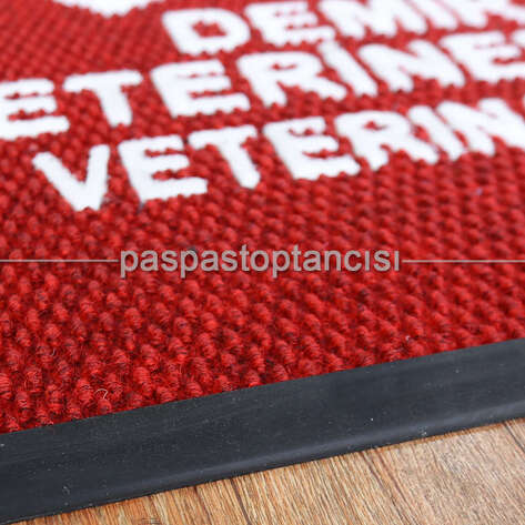 Veteriner Klinikleri için Logolu Paspas - 4